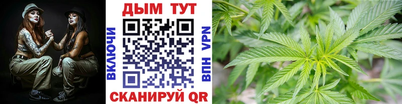 Где найти наркотики Гаджиево Кетамин  СОЛЬ  ГАШИШ  Каннабис  Меф  Кокаин 
